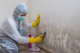 Best Asbestos and Lead Testing During Mold Inspection  in Eastlake, OH